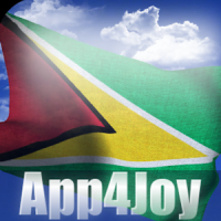 Guyana Flag Live Wallpaper