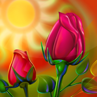 Roses Live Wallpaper Beautiful Flower Images