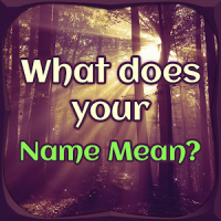 What does your Name Mean