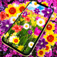 Flowers live wallpaper