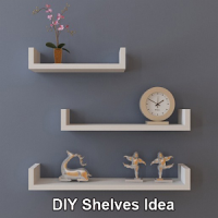 DIY Shelves Idea