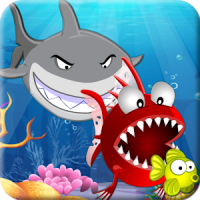 Hungry Piranha & Shark Fish