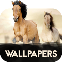 Wallpapers with horses