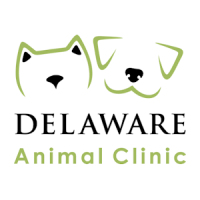 Delaware Animal Clinic