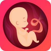 Pregnancy due date tracker with contraction timer
