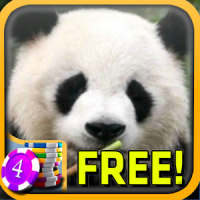 3D Panda Slots