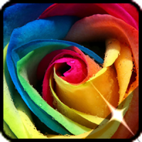 ग ल ब फ ल Wallpapers म फ त ड उनल ड Qt App Theme Rose