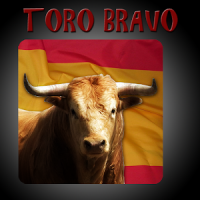 TORO BRAVO