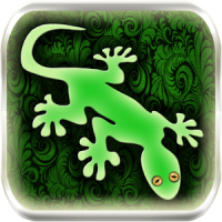 Gecko Image Editor - retouche