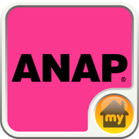 ANAP-ANAP INTERFACE Theme