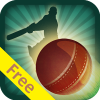 Cricket Schedule With Widget