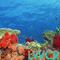 पानी के नीचे मूंगा चट्टान LWP