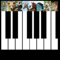 Baby Animal Piano Free
