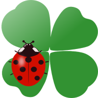 Coccinella Live Wallpaper