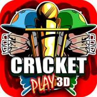 Cricket spielen 3D