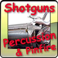 Percussion & pinfire shotguns