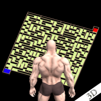 Maze Bricks 3D