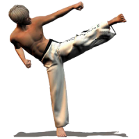 Taekwondo Forms