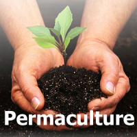 Permaculture.