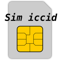 Sim Serial Number ( ICCID)