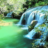 Natural WaterFall Photo