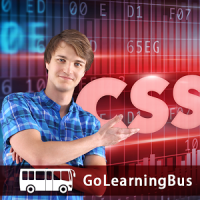 Learn CSS by GoLearningBus