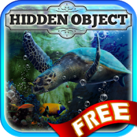 Hidden Object