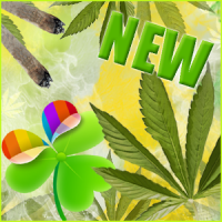 Rasta Theme v2 for GO Launcher