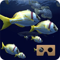 Fish Schooling VR