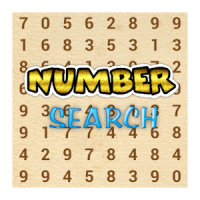 Number Search Challenge