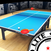 Pro Arena Table Tennis LITE