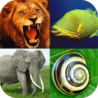 Animal Encyclopedia Complete Reference Guide Free