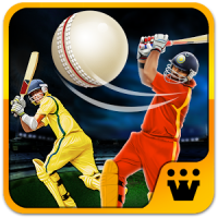 World T20 Cricket Champs- 2015