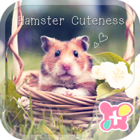 Cute Theme-Hamster Cuteness-