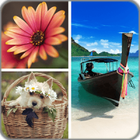 Photo Collage Editor