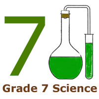 Grade 7 Science by 24by7exams