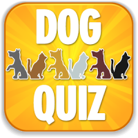 Dog Quiz & Trivia