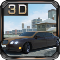 Real Limousine Parking 3D