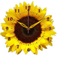 Sunflower Clock