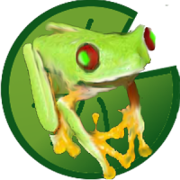 Tina, the jumping frog