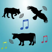 100 Animals and Birds Sound