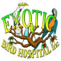 Exotic Bird Hospital Inc