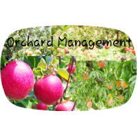 Orchard Management