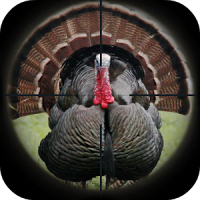 Turkey Hunting Anrufe