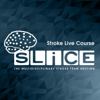 SLICE Stroke Live Course