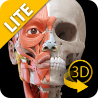 筋肉系 - 上肢 - 解剖学3Dアトラス- Lite