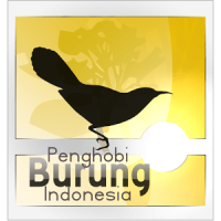 Ternak Burung Indonesia