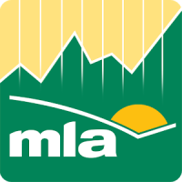 MLA Market Information