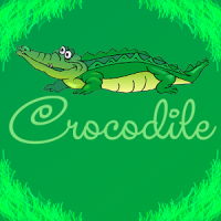 Crocodile