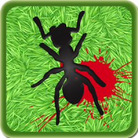 Assassino formigas
